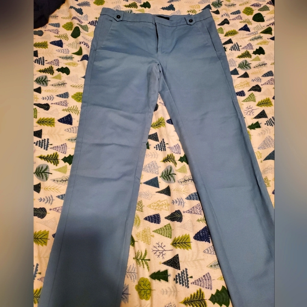 Zara Business Casual pants